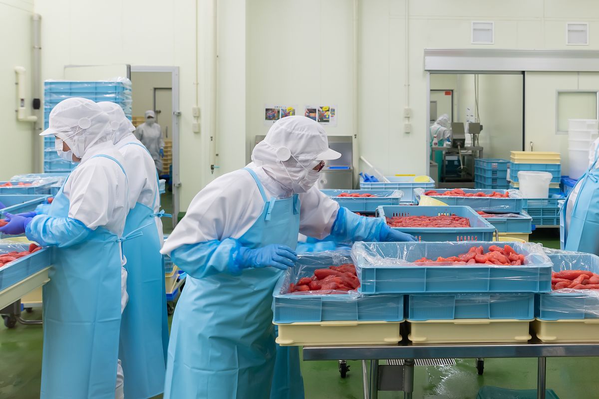 食品工場の異物混入対策とは?原因や防止策を詳しく解説